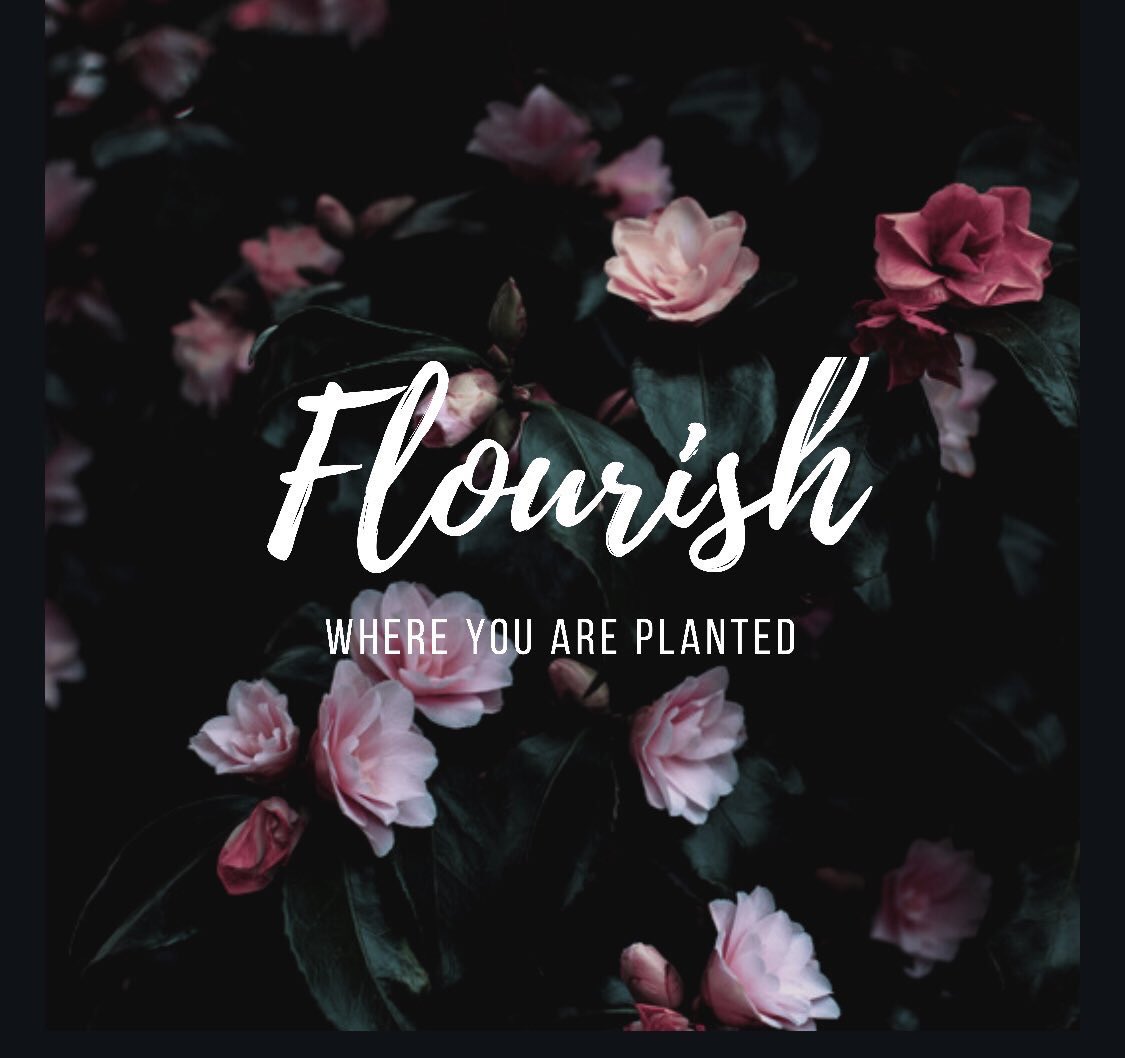 Hood_Genius's tweet photo. As long as my family is happy.

I will Flourish.🌸 https://t.co/800vAMMYnC