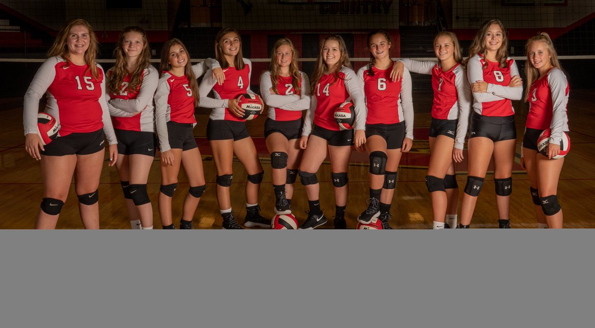 Avery Vikings VB tweet media