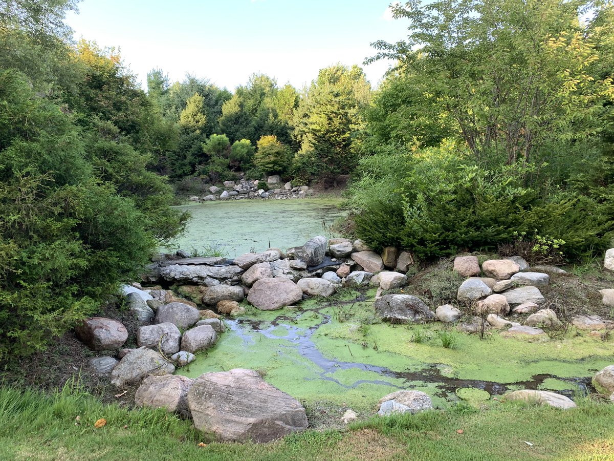 RosewoodSimcoe's tweet photo. Mandie and Kristine enjoyed a tour and education session at Whistling Gardens at the Simcoe Chamber Business After 5. What an amazing place. Definitely check it out if you haven’t been there. @whistlinggardens #simcoechamber https://t.co/yCsXWhvY4H