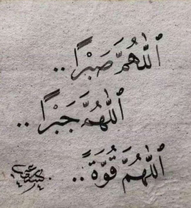 الورد الطائفي (@iaied_ward) on Twitter photo 