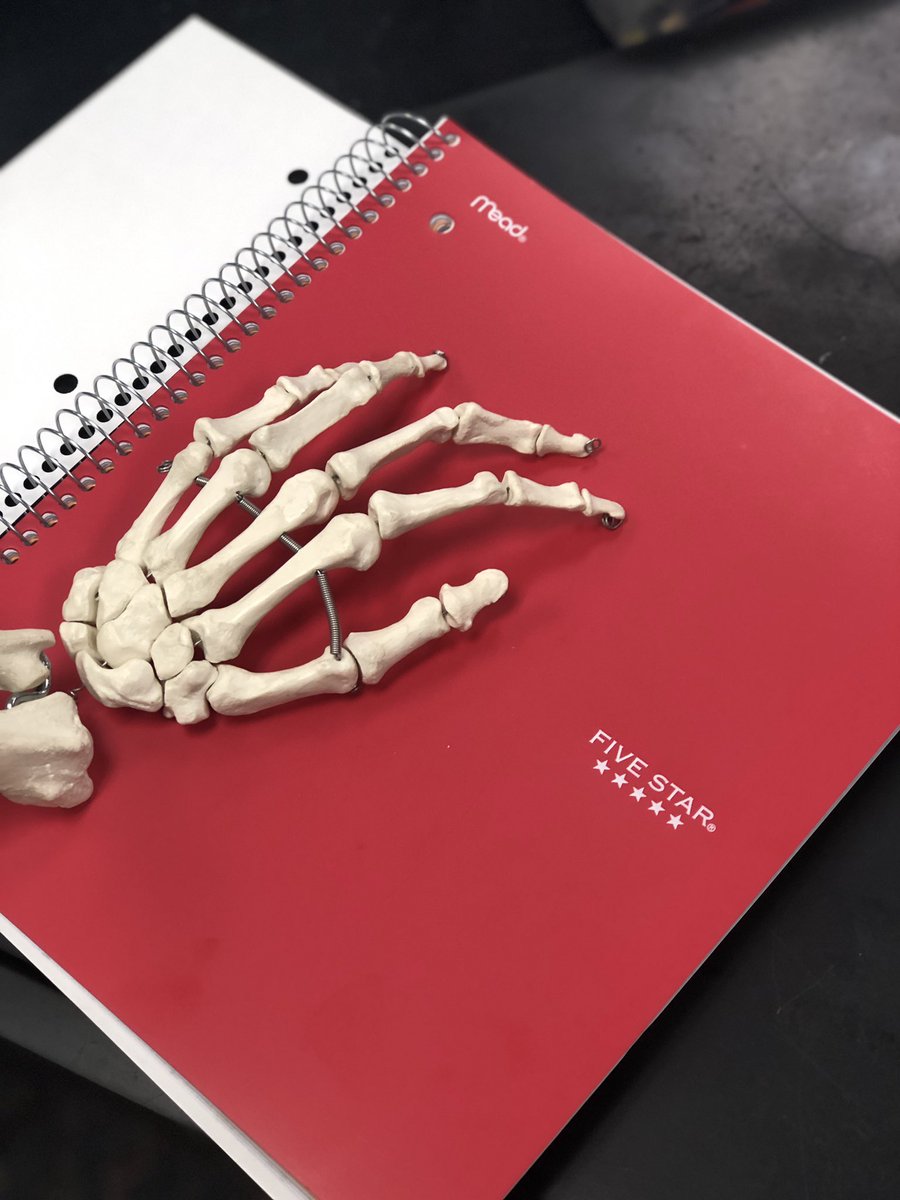 c103science's tweet photo. 200 page spiral notebook needed in class starting on Monday 8/19!!! Be prepared because these will come in handy! #todayatSHS #SHSallin https://t.co/Hv3tYfd0em