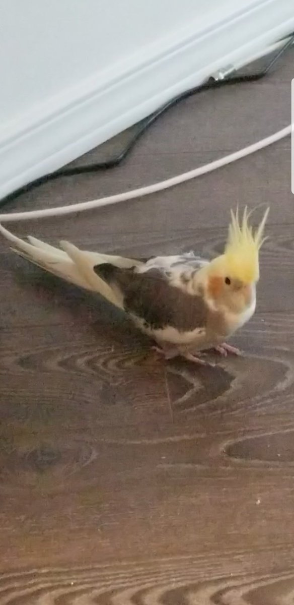 Kendra Fowler tweet media