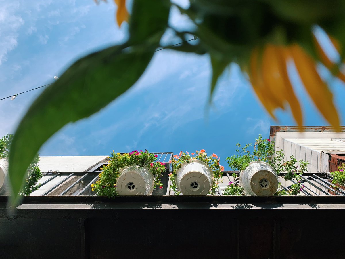 snapgraz's tweet image. Skywards

#streetphotography #phillyphotgrapher #blueskies #photojournalism #vsco #august2019