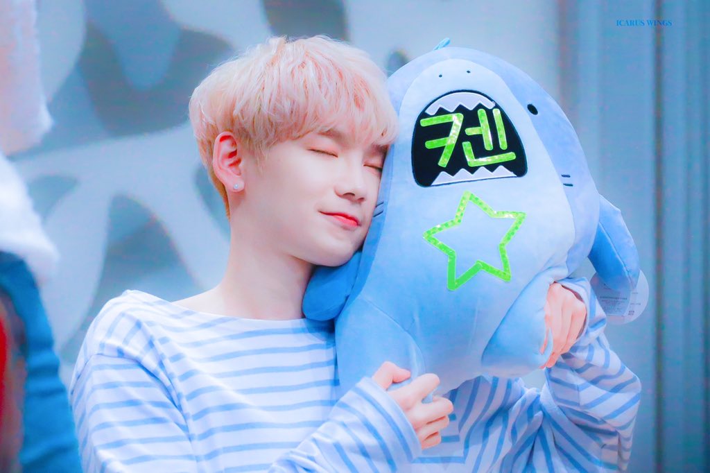 ailesdicarus's tweet photo. [HQ]
190807 심석홀 팬싸인회
여름이면 켄타‼️

#켄타 #KENTA #JBJ95 #불꽃처럼 https://t.co/tvZKW9tO4J