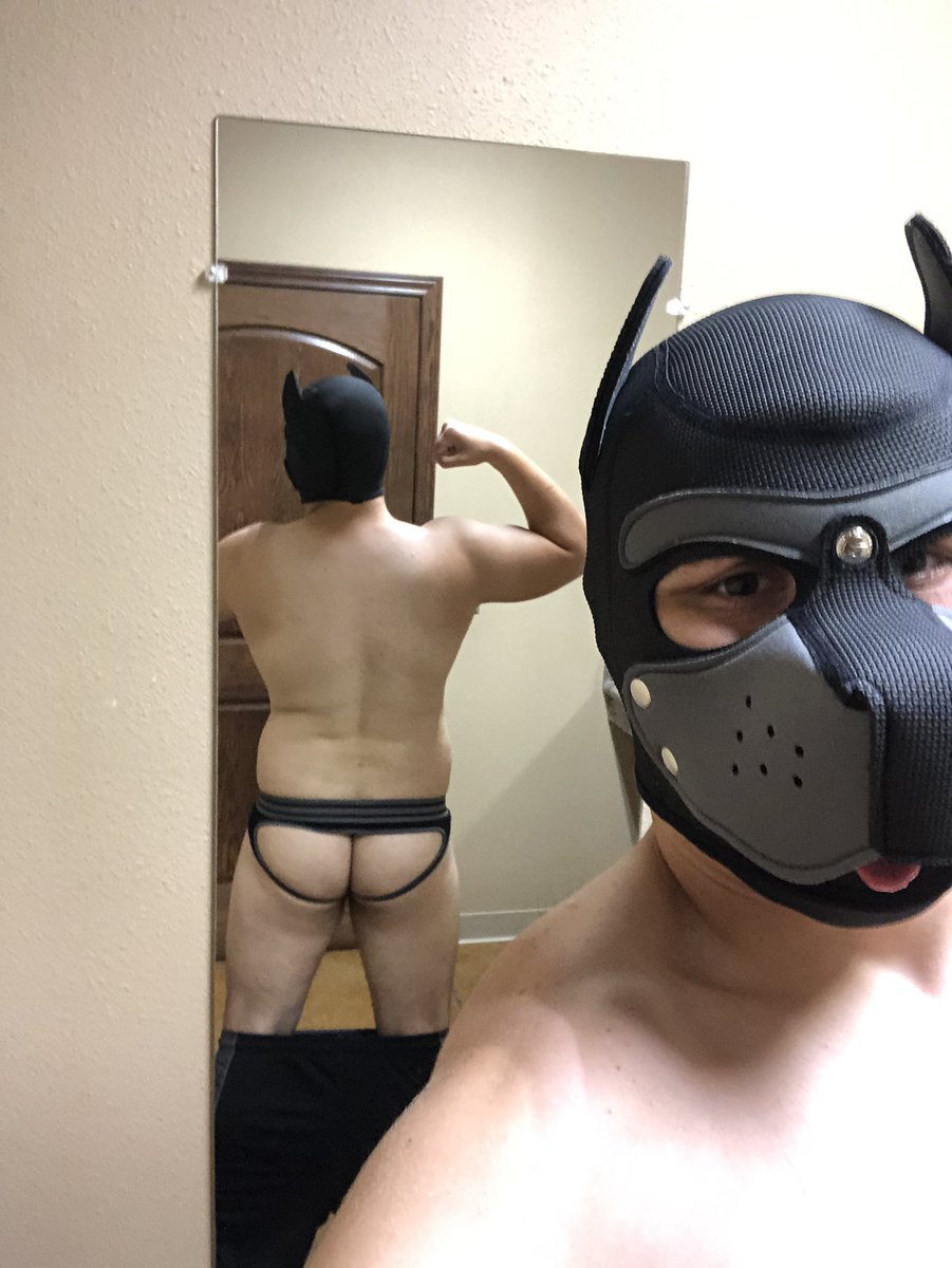 BetaPupZ1's tweet photo. Back and biceps day felt good.             #puppyplay #petplay #pupplay #humanpuppy #humanpup #musclepup #musclecub #puppytail #muscledtail #muscledback #gay #gaypup #gaycub #selfie #selftime https://t.co/nwO7AZlLhr