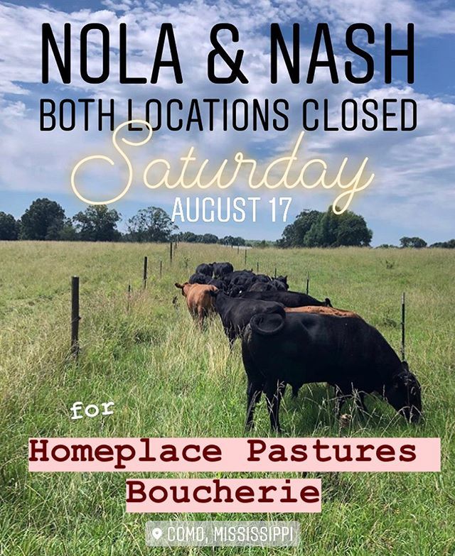 🚨BOTH LOCATIONS CLOSED SATURDAY AUGUST 17🚨 New Orleans will be closing early on Friday🚨 the NOLA and Nashville crew is meetin’ in the middle for a weekend of campin’ and cookin’ with all our buds at @homeplacepastures Hill Country Boucherie!
🐔🐮🐷
#teamcoutelier
#allstaffm…