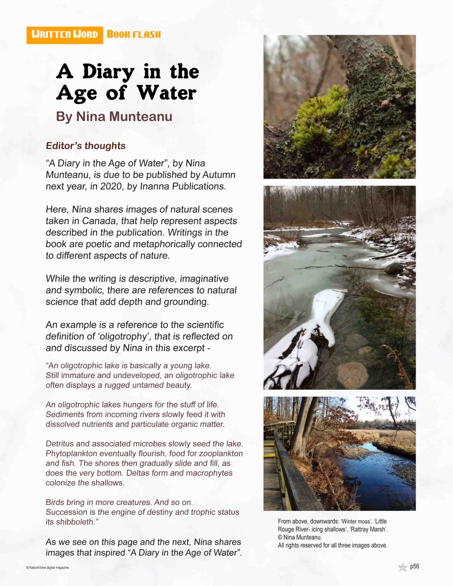 AlienNextDoor's tweet photo. On my next novel "A Diary in the Age of Water" in NatureVolve #NatureVolve #ecology #novel #water #amwriting  https://t.co/Dt5ZppXEQ2 https://t.co/LeVQqtOWnk