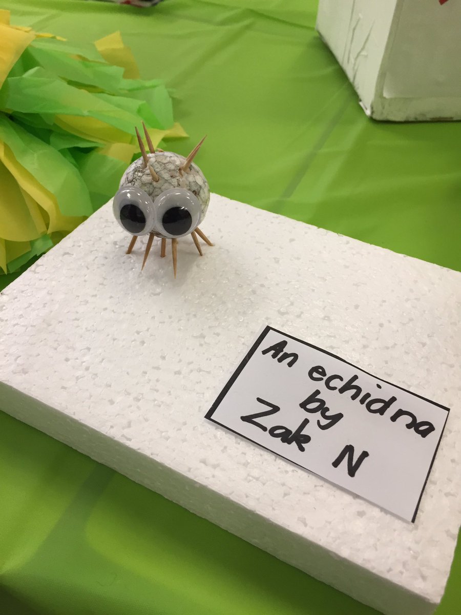 vaifoiakau's tweet photo. Art exhibition! Students showcasing their best projects based on this beautiful country, Australia.  #acuedu_p https://t.co/YV8VNCHX9I