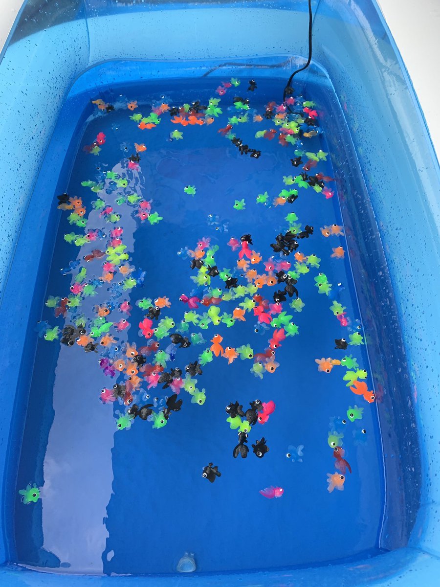 携帯ショップ徹底ナビ イベント太郎では皆様にお楽しみ頂ける金魚すくいセットのレンタルも行なっております 詳しくはホームページをご覧下さい T Co B1gyjjbz0t イベント お祭り 金魚すくい 金魚 夏祭り 屋台 夜店 夏 夏休み 思い出 携帯ショップ徹底ナビ イベント太郎では皆様にお楽しみ頂ける金魚すくいセットのレンタルも行なっております 詳しくはホームページをご覧下さい T Co B1gyjjbz0t イベント お祭り 金魚すくい 金魚 夏祭り 屋台 夜店 夏 夏休み 思い出