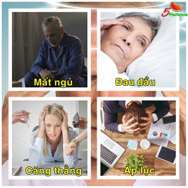 5phutkhoe's tweet photo. Dùng cho người bị bệnh #viêm_xoang, #viêm_mũi_dị_ứng.
Người bị thường xuyên #đau_đầu, #mất_ngủ, #khó_ngủ hoặc ngủ không ngon giấc, #rối_loạn_tiền_đình, #thiếu_máu_lên_não.
👇Xem thêm tại đây👇
https://t.co/DgWq1K9TjE
#daudau #matngu #viemxoang #viemmuidiung https://t.co/UO6S9FN4hm