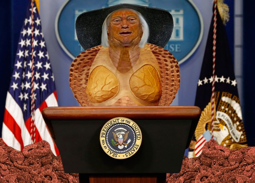 erikjburch's tweet image. This Narcissistic Snake Has No Empathy
 #TrumpAlwaysLies #TrumpBehavior #NarcissisticPersonalityDisorder #NarcissistInChief #TrumpFalsePromises #TrumpHasNoHeart #TrumpismIsAMentalDisorder #trumpKillsEverything #TrumpLiesEveryTimeHeSpeaks