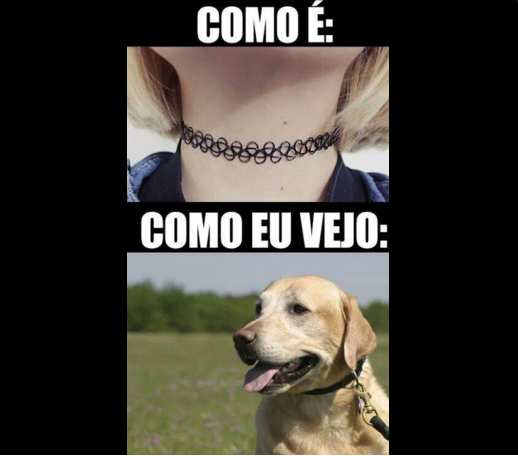 luanzer_kpoper's tweet photo. #programadogugu 
#ronaldocr7
#messi
#AlQaeda 
#osamabinLaden
#TercaLigaDaJusticaSDV 
#terçadetremurasdv
SIGAM! @dehzinchosen1 @mbrunetto7 @luequito @VitorMayhew @bnpm1 @piplays1 https://t.co/khKnoy4xfU