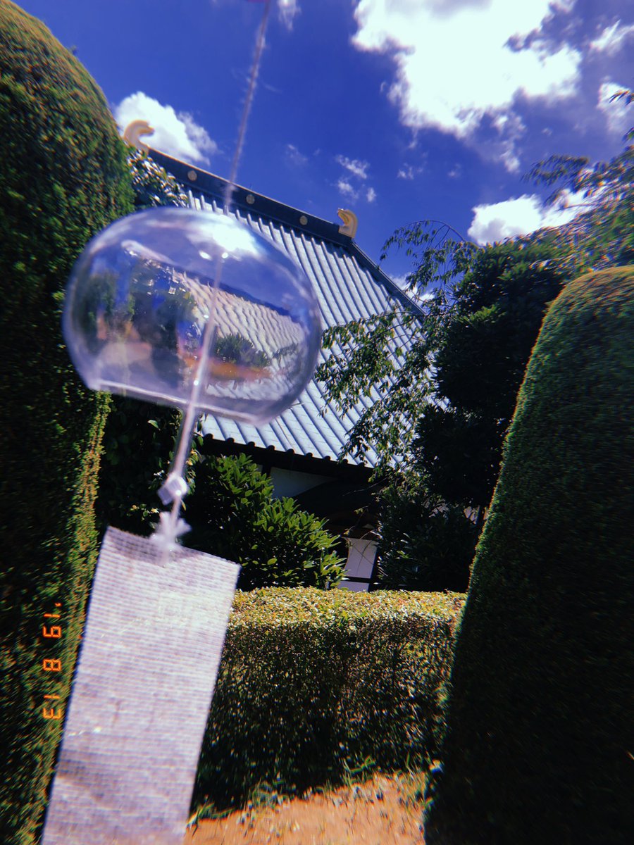 今年持ち帰った夏をじいちゃんに見せた🎐