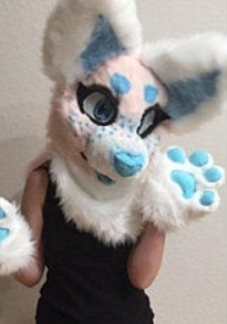 Vernon: baby fursuiter <3 new to being a furry