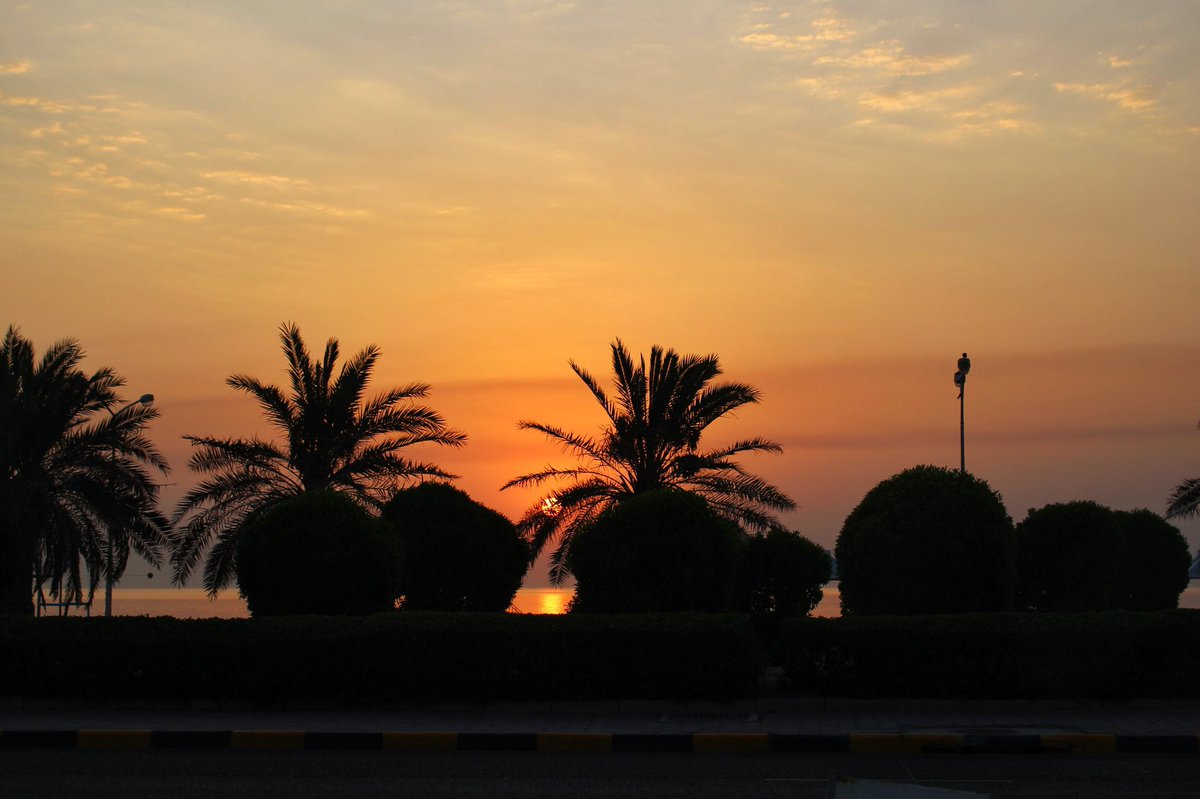AsmaaElayyan's tweet photo. في وصفه قيل:

"إذا جنّ المساءُ يصيرُ بدرًا
وشمسًا كلما حلّ الصباحُ.." https://t.co/zFmivSgrBz