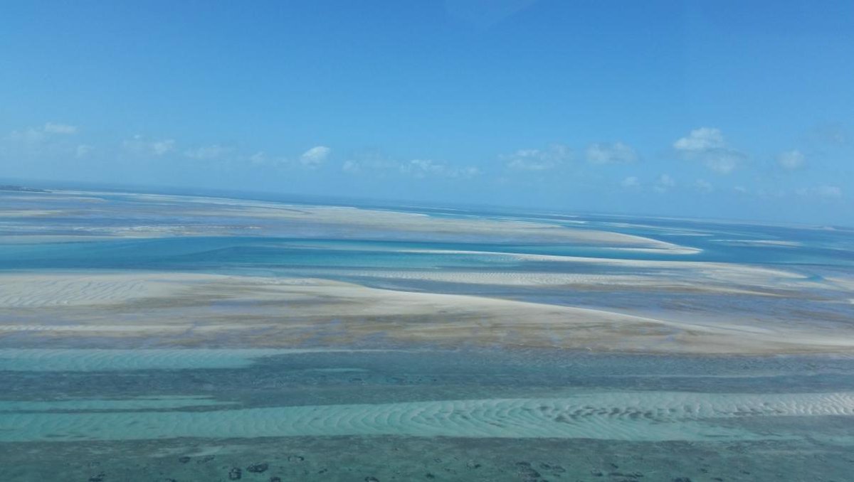 PambeleTravel's tweet photo. Summer is on is way - let us plan your tropical beach getaway this December! Visit https://t.co/f466bpJj7s for more info. 

#beachlife #mozambique #wanderlust #vacation #beachholiday #sandandsalt #adventuretime #travelagents https://t.co/pxViJ18Kug