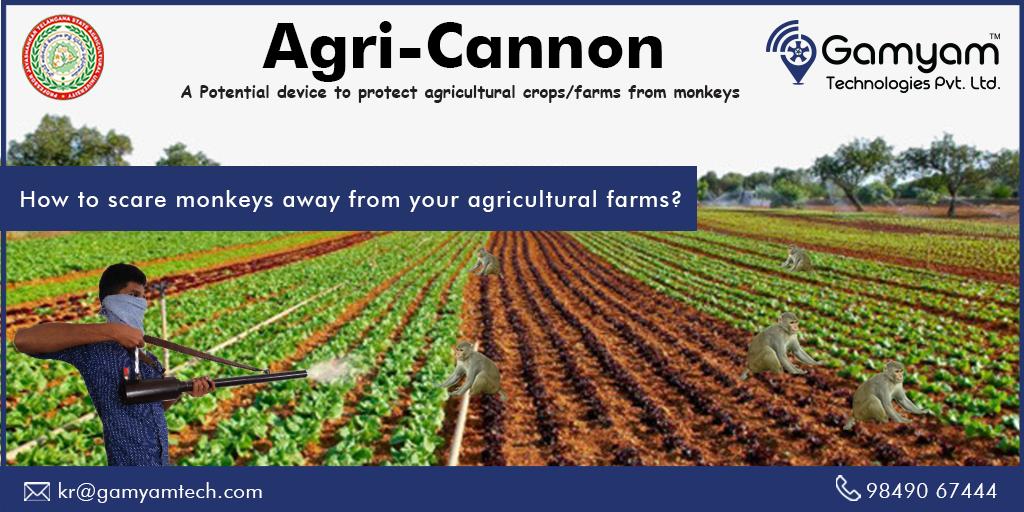 ABRConserv's tweet photo. Agri-Cannon is a potential device to protect agricultural crops from Monkeys and Birds
Learn more: https://t.co/S3jj59E3CS
Contact us @+91-9849067444
#monkeyscarerdevice #birdsscarer #protectcrops #savecrops #monkeyrepeller https://t.co/Lf0wUcUyfj