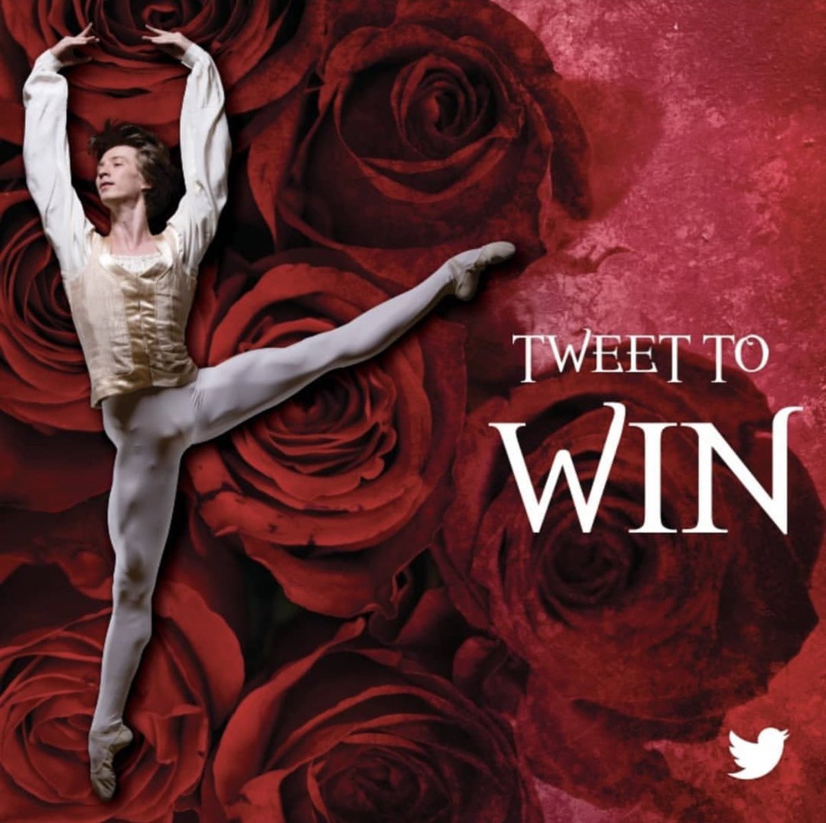 _CortneyB's tweet photo. @BalletCape #CTCB! Can't wait to see this. https://t.co/3KXNgX4Srd