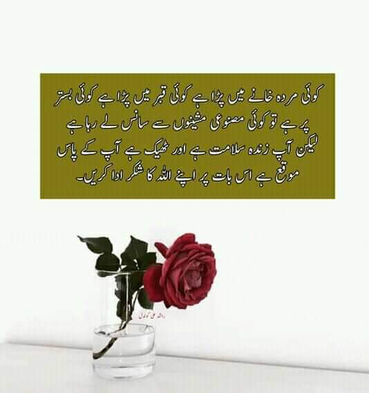 Malik3538's tweet photo. https://t.co/UBsg4c6EX6