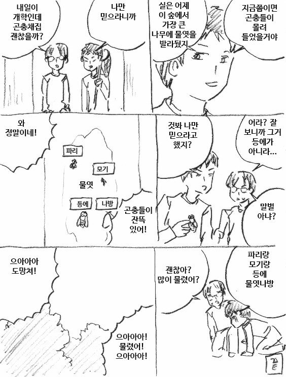 곤충채집 