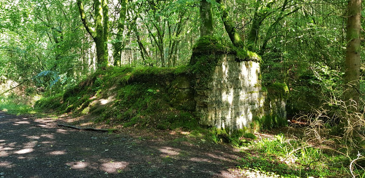 will_evans_uk's tweet image. Came across this #historicstructure on a dog walk in #Clonaslee #Ireland today. Two #bridge #abutments slowly losing the battle with nature. Possibly part of #tinnahinchcastle? Found on #Brittasloop