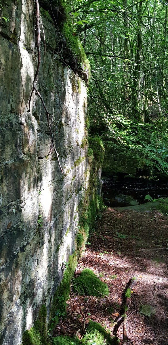 will_evans_uk's tweet image. Came across this #historicstructure on a dog walk in #Clonaslee #Ireland today. Two #bridge #abutments slowly losing the battle with nature. Possibly part of #tinnahinchcastle? Found on #Brittasloop
