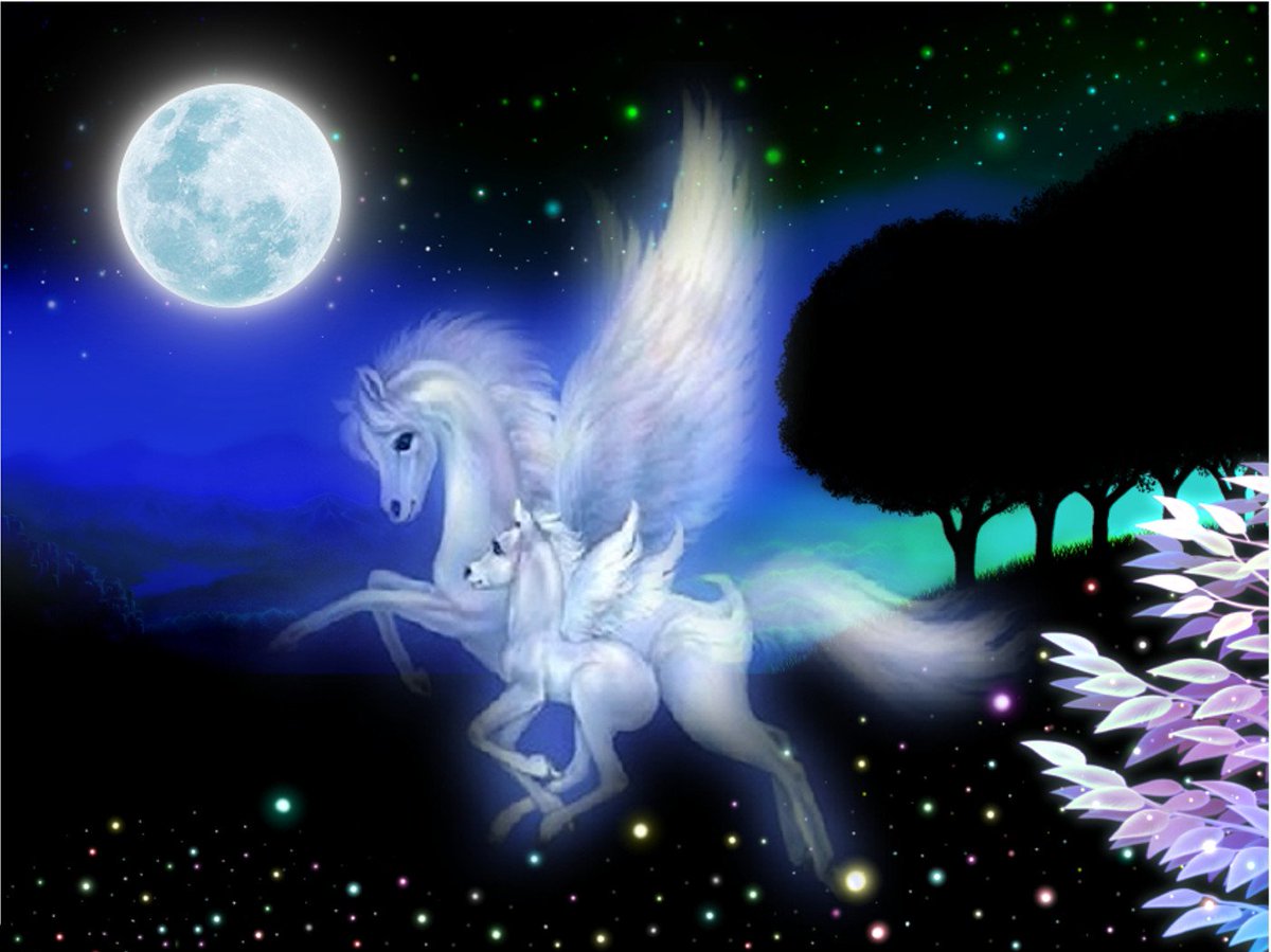 あなたの

　胸の中に

　　飛び込んで
　　　ゆきたい

まだ

　子供の頃の

　　あどけない
　　　笑顔に戻って

眠れない

　夜の

　　愛のカケラを
　　　抱いて…

　　　～恋の詩～