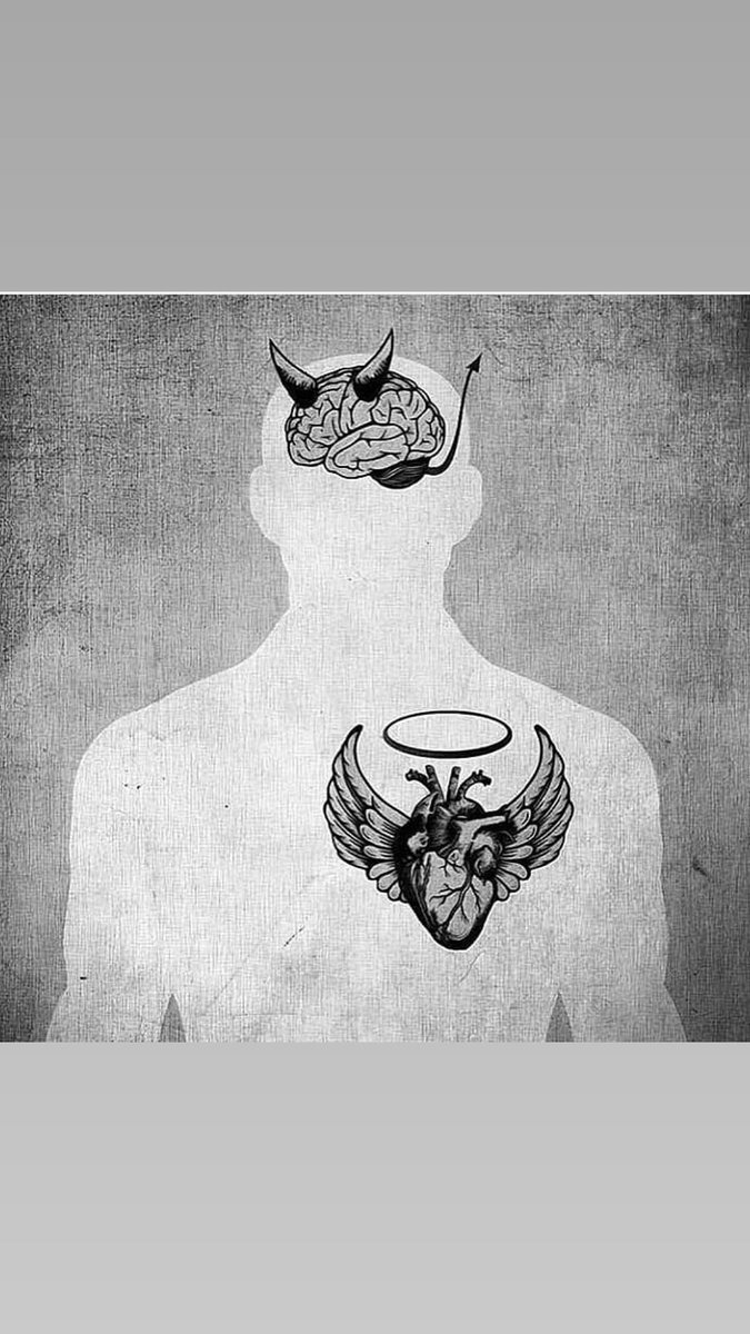 Adriano Alkmim (@alkmim96) on Twitter photo 