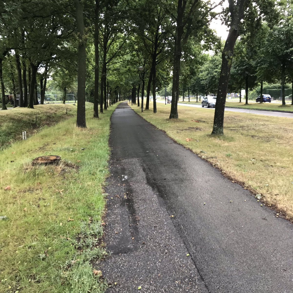 PennyHaw's tweet photo. Spotted on my #flatrun in The #Netherlands today: one insect hotel; several wet roads; and a herd of wary cattle, mistrustful of a Wild African Runner (I went off the path) with a phone. https://t.co/NgQ4u70ro7