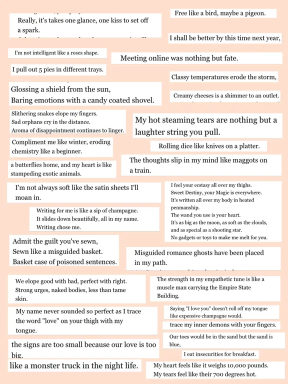 MichaelBePetty's tweet photo. Whoever made this collage of Amberlynn Reid's best lines of poetry, Thank you. I don't think I have laughed this hard in a long time. 🤣🤣🤣 https://t.co/Qu2LyTHMDx