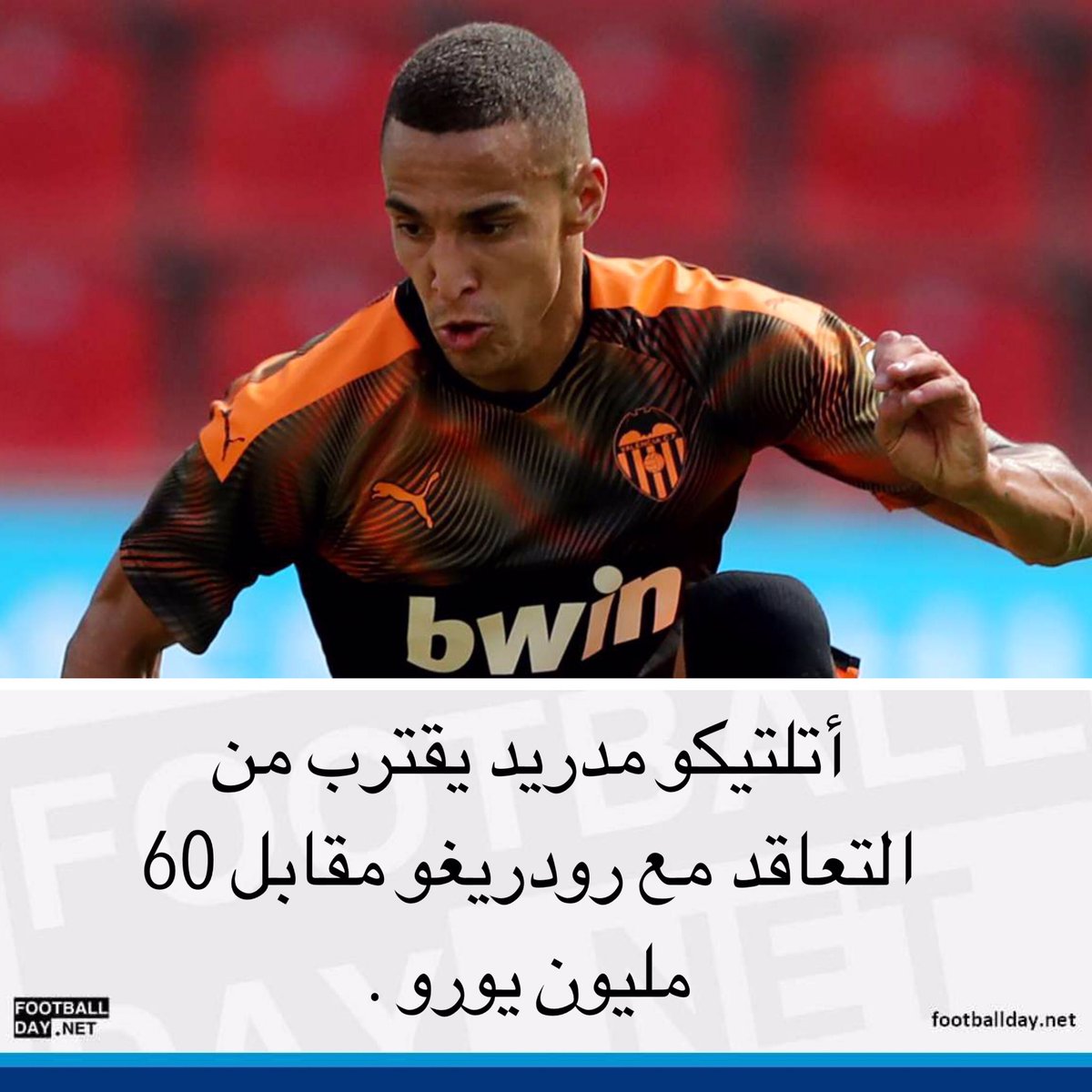 Footballdaynet's tweet photo. فوتبول دي - #أتلتيكو_مدريد يقترب من التعاقد مع #رودريغو مقابل 60 مليون يورو من #فالنسيا . https://t.co/r1bRjZDLZ0