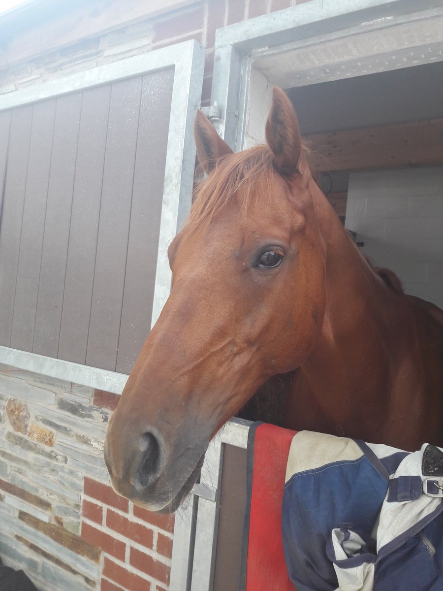 Racer To Eventer tweet media