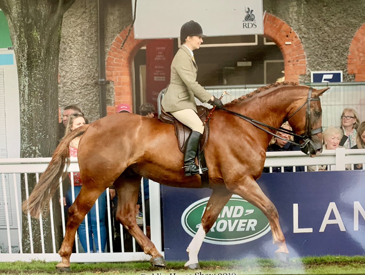 JanemDavis84's tweet photo. A great week @DublinHorseShow such a privilege to ride these two lovely horses. Huge thanks to everyone who made it possible 🙌🏻 #REDMILLS #FeedYourDesireToWin https://t.co/oMTF27yjka