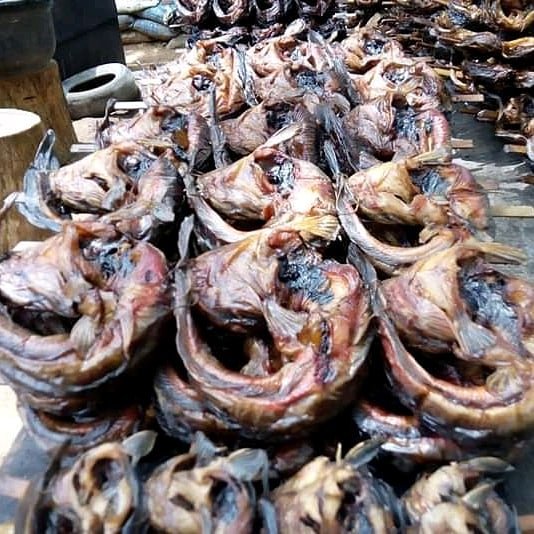 RiverrunsFarm's tweet photo. Order for your smoked catfish from us @RiverrunsFarm, call: 07062350127 
whatsapp: 09050601096...#SM4AG  #fish #catfish  #TacharisticsOfAWinner #party #100mostbeautifulfaces2019 #BBNaija #TeamCindy https://t.co/QICPFew3nI