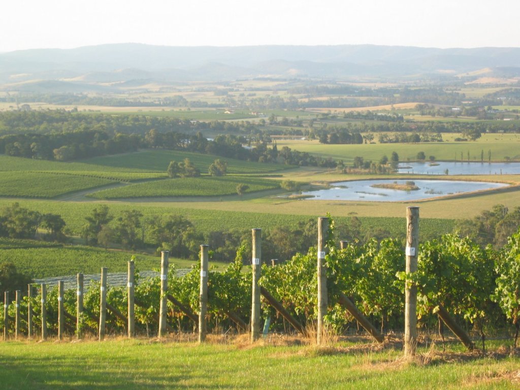 Australia’s New Wave of Winemakers Won’t Make Shiraz bit.ly/2MfEdoH #shiraz #winemaker #winemaking #australia <a href="/Australia/">Australia</a> <a href="/AustWineTasting/">Aussie Wine Tasting</a> @SommsAustralia <a href="/_AustralianWine/">Australian Wine</a> <a href="/jamesnsteadman/">James Steadman</a> <a href="/PennySadler/">Penny Sadler</a> <a href="/DemiCassiani/">Demi Cassiani</a> <a href="/alawine/">alawine</a> <a href="/theauscellar/">The Australian Cellar</a>