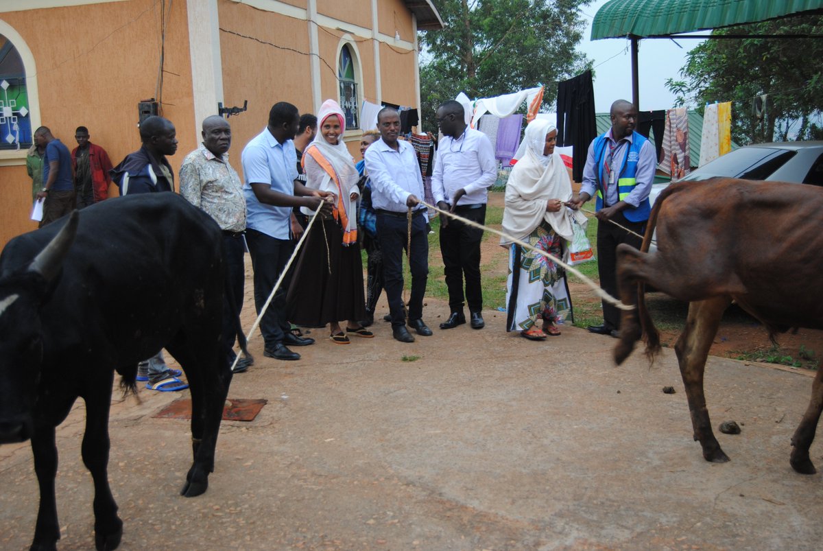 InterAidUganda's tweet photo. Nile Humanitarian Development Agency through @OPMUganda and @InterAidUganda yesterday donated cows for the urban refugees in the different communities as away of celebrating EID ADHUHAR with them. Happy EID ADHUHAR to all our esteemed clients. https://t.co/BizKe7IT5f
