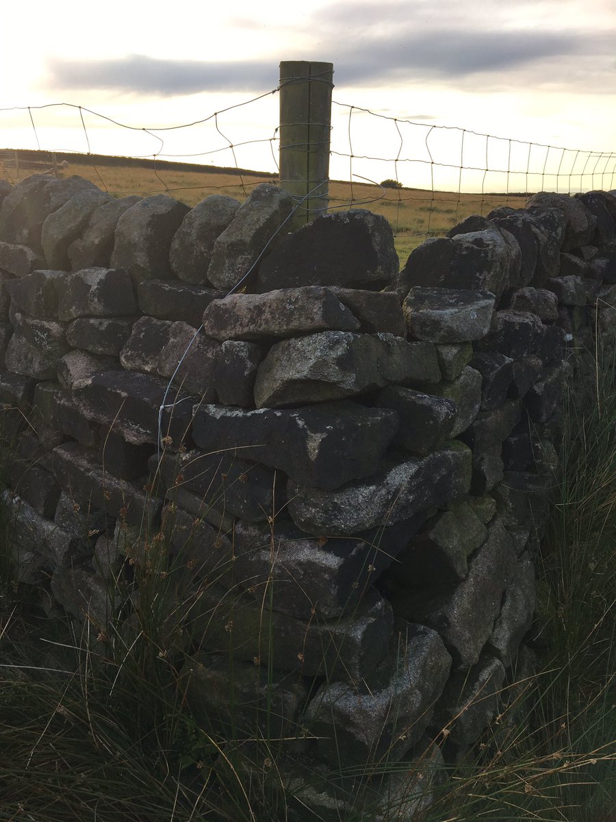 tpltravelled's tweet photo. Date night: Silva said she’d always wanted to walk through bog and visit the corners of obscure enclosures, old rain gauges, and, if possible, a gas line marker. I made it so. #micronav #getoutside @MtnTraining https://t.co/HSlJpFe38w