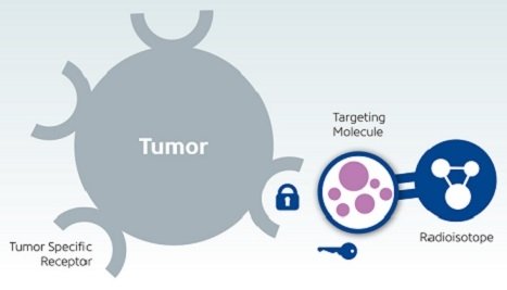swostik_devkota's tweet photo. RADIONUCLIDES https://t.co/GyQYSMhIDa https://t.co/bkcYfh2UVe