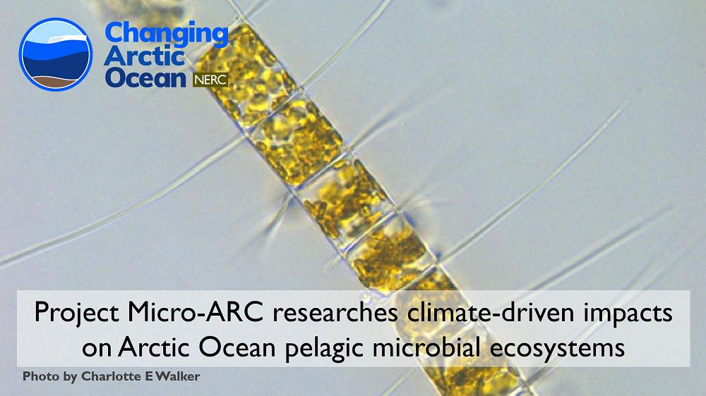 NERC_CAO's tweet image. Project #MicroARC examines microbial life in the #ArcticOcean

Numerical modelling of project data helps to predict #ClimateChange impacts on microbes and their role in the #ArcticOcean carbon cycle

Info bit.ly/CAO_MicroARC @NERCscience @BMBF_Bund #UKinArctic #ArktisImWandel