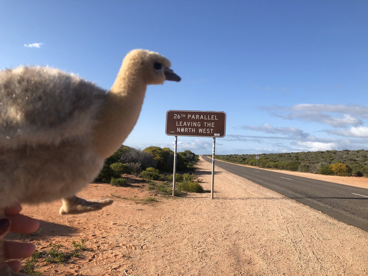 J_Stingemore's tweet photo. Lee and I had a blast over the (long) weekend. @BushHeritageAus hosted another great #HamelinScienceFair and @NACC_NRM held an inspiring workshop with #Malgana women. Plus we can both recommend visiting the spectacular Shark Bay World Heritage Area https://t.co/mAhRVAptre https://t.co/2bAEDIIse4