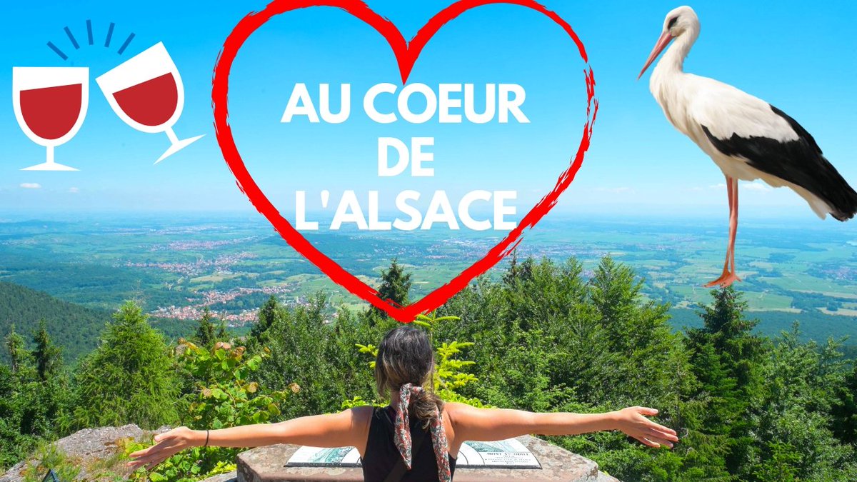 À la découverte de l'#alsace avec... <a href="/unefillenalsace/">Céline #UneFilleEnAlsace</a> ! 😎
🎬 Notre vidéo ➡ youtu.be/GreMK93Qx0c

#routedesvins #alsacezvous #visitalsace <a href="/PaysdeBarr/">OT Pays de Barr</a> <a href="/VisitObernai/">Tourisme Obernai</a> @domainegilg <a href="/Alsace/">Alsace</a> <a href="/VinsAlsace/">VinsAlsace</a>