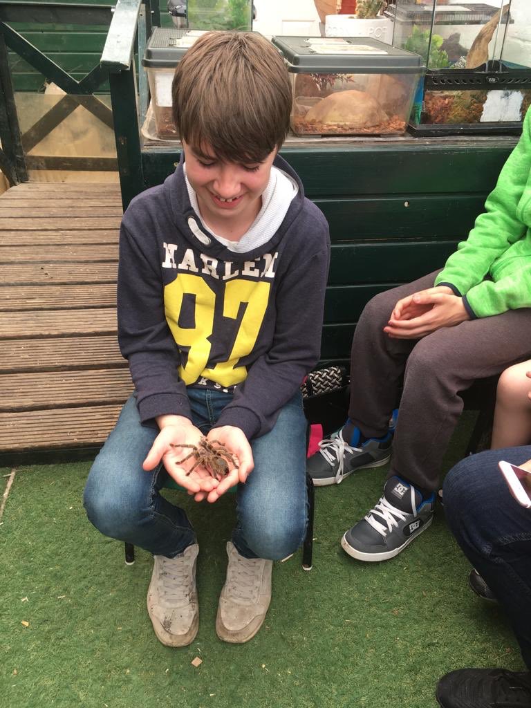 Visited a farm with lots of reptiles, spiders and snakes #PlanetOffersSnaps