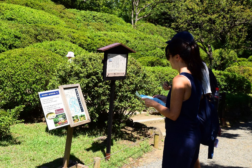六義園 tweet media