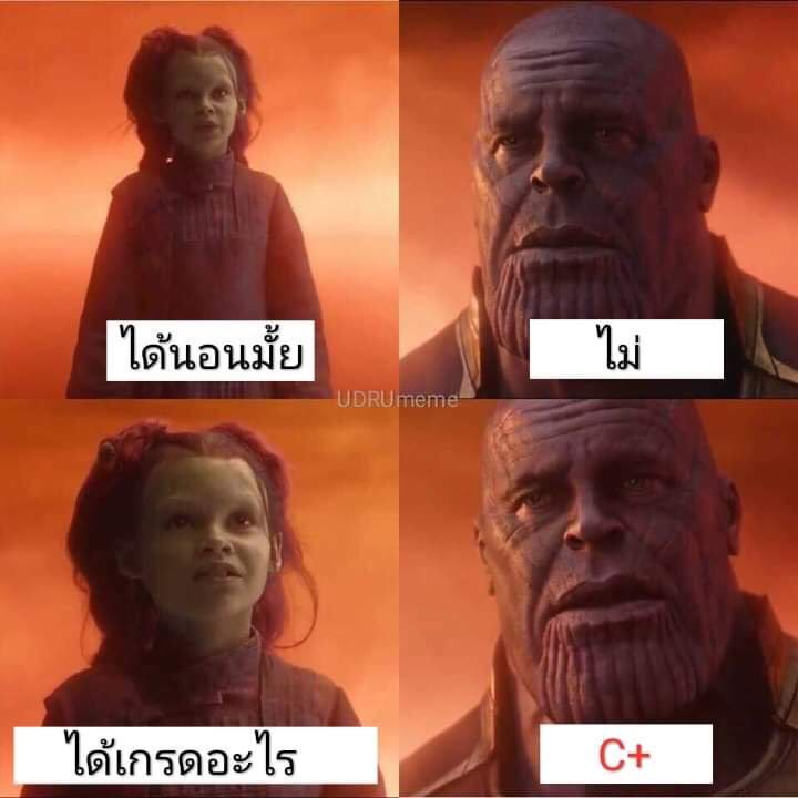 แซลม่อนพู ☼ tweet media