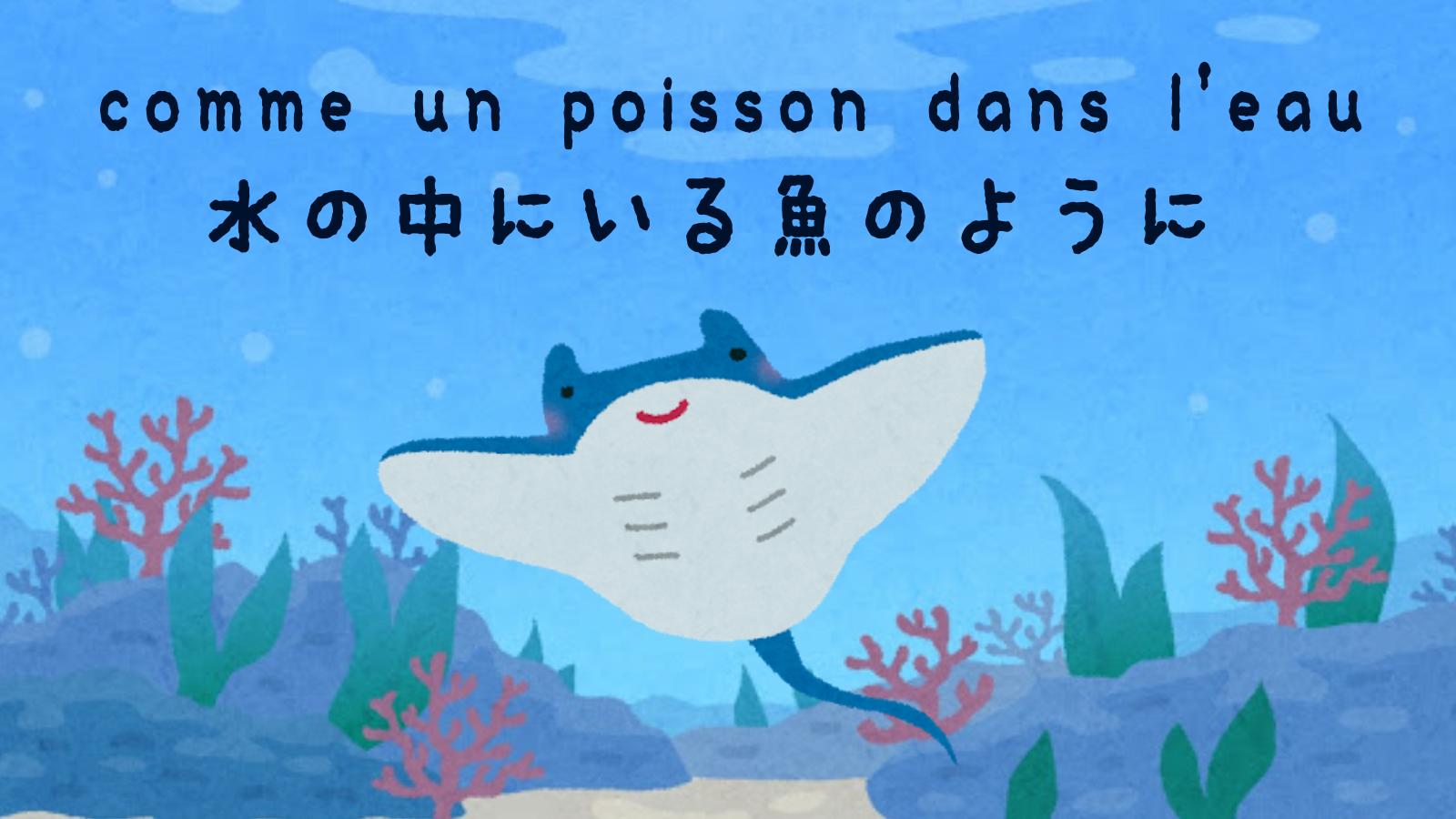 フランス大使館 En Twitter 今日の言葉 水の中にいる魚のように とは 文字通り 水を得た魚 という意味 日本語の 水を得た魚 は 三国志 に由来する表現のようですが フランスにも同じ発想があるのがおもしろいですね 何かつながりがあるの フランス大使館 En Twitter 今日の言葉 水の中にいる魚のように とは 文字通り 水を得た魚 という意味 日本語の 水を得た魚 は 三国志 に由来する表現のようですが フランスにも同じ発想があるのがおもしろいですね 何かつながりがあるの