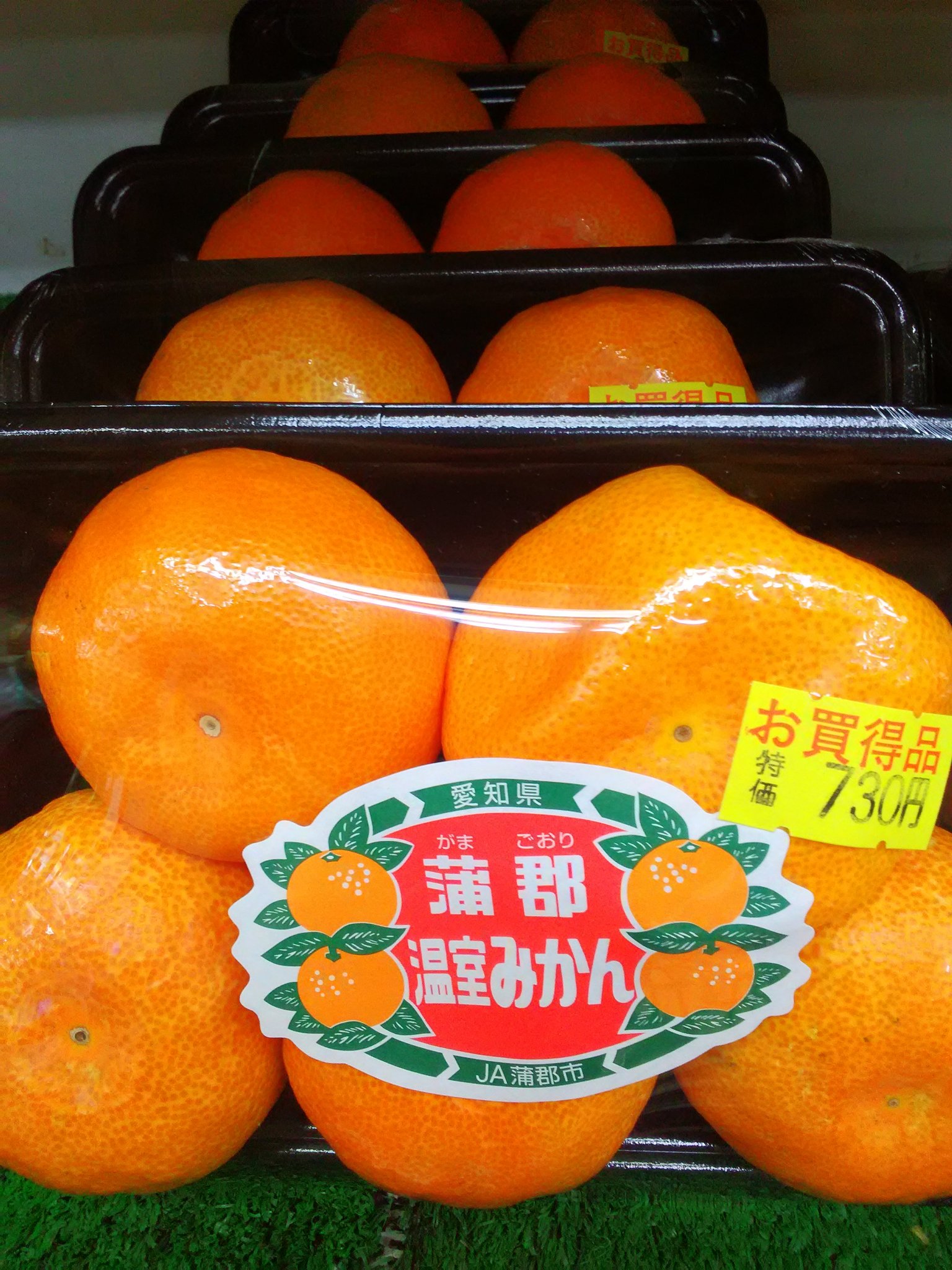 のぐちストアー 愛知蒲郡産ハウスみかん販売中です 蒲郡 ハウスみかん のぐちストアー T Co F4kk2j00yu Twitter