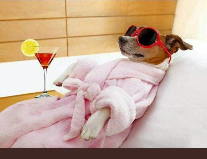 Reney_Mashaba's tweet image. 07 Sept Mahungra car wash (Bloem) #SpringJumpOff19 🕺 will be celebrating #10years of #SpringJumpOff 😃... For once let's welcome a new Season with style👙👒🍸 #WhatsYourStory