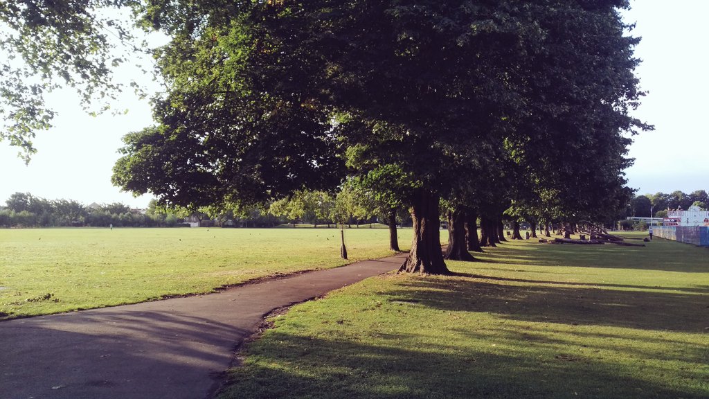 rightjedsaid's tweet photo. My new commute (well, part of). #llyodpark #urbanwalking #Walthamstow https://t.co/ueTaqG7Af7