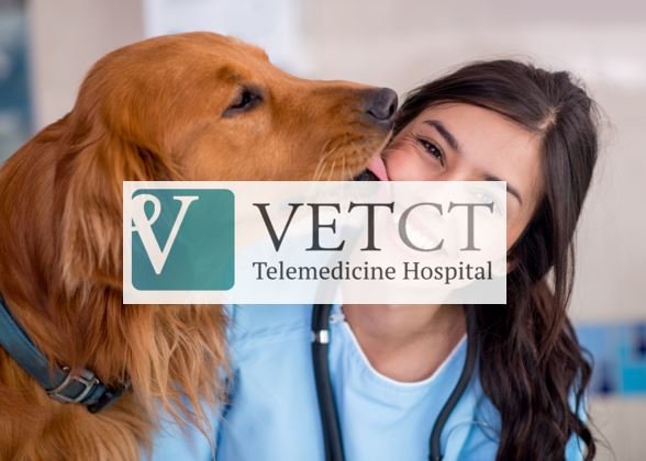 VetCT's tweet photo. How would you like to win a ticket to the 2019 WellVet Weekend?! 

For a chance to win one Weekend Pass ticket worth £295 and participate in this incredible weekend of fun, simply follow VetCT, like and share this post! Winner will be announced Friday 23rd August. #Vet #Wellbeing https://t.co/t3mooTSBSo