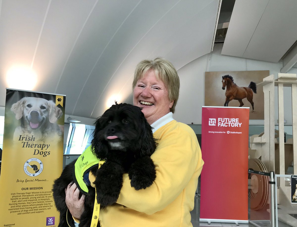 Are you a nervous flyer or just love dogs? Sooty is in Terminal 2 with Orla from @IrishTherapyDog and he’s excited to meet you. Drop by and say hello #IrishTherapyDogs 🐶